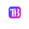 TechieBall logo